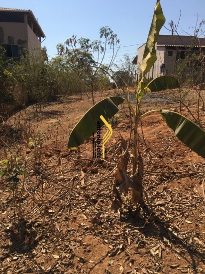 lote-venda-charneca-904807