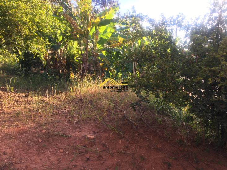 lote-venda-marimba-betim-1027796